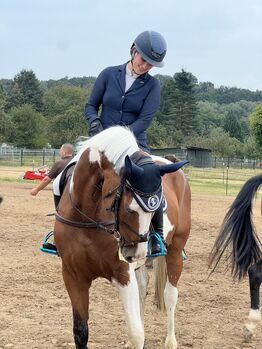 Wunderschöne 6-jährige Stute von Costolany x Quidam – Vielseitig, Unkompliziert und Zuverlässig!, Lotti, Horses For Sale, Burghaun