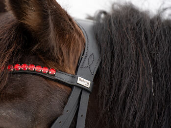 Wunderschöne Trense von Bellora Equestrian (schwarz und rot) Bellora Equestrian