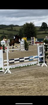 Braver großer Wallach mit toller Springmanier, Laura , Horses For Sale, Ruppichteroth