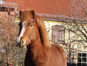 freundlicher Isi Mix Wallach
