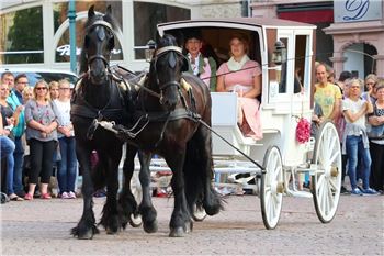 Kutsche - Hochzeitswagen Historischer 2.Spänner Münsreländer Coupe