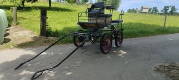 Einspänner Trainingswagen, Beatrice Schwegler, Carriages, Ufhusen