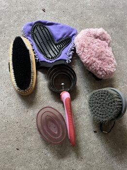 Verschiedene Putzsachen, Uschi Nowlan, Grooming Brushes & Equipment, München