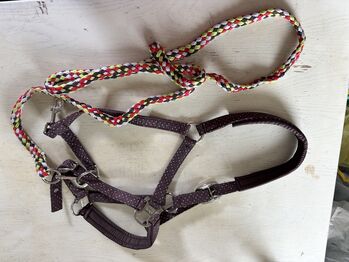 Verschiedene Halfter, Mareike, Halters, Bad Harzburg