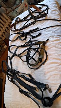 Diverse Trensen /Reithalfter, Hüther, Bridles & Headstalls, Berlin 