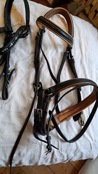 Diverse Trensen /Reithalfter