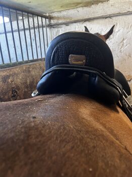 Dressursattel Velicea Kalypso Velicea  Kalypso 