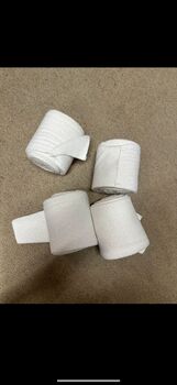 Bandagen / weiß / WB, Sina Ott , Horse Bandages & Wraps, Denkendorf 