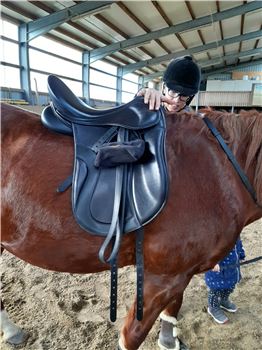 Verkaufe Kingsley Dressursattel d1 17,5 und 32 Kammer, KINGSLEY  D1 DRESSUR, Nicole Neugebauer , Dressage Saddle, Sindelfingen