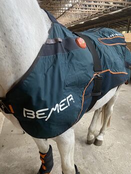 Vermietung Bemer Horse Set Bemer Horse Set