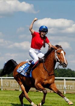 Vielseitiger Reitponywallach sucht Familie für neue Abenteuer, Pferdevermittlung Leus, Horses For Sale, Soltau