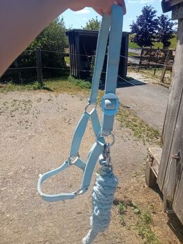 Mehrere Halfter, Verschieden Halfter , Lotta, Halters, Wiehl