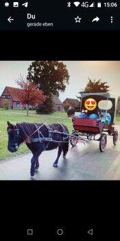 Kutsche- Shetty - sofort fahrbereit -Doktorwagen/Landauer -, Doktorwagen - Shettykutsche - Landauer, Familie, Carriages, Rahden