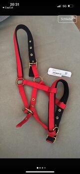 Fohlen Halfter /Neu, Selina , Halters, Schlüchtern