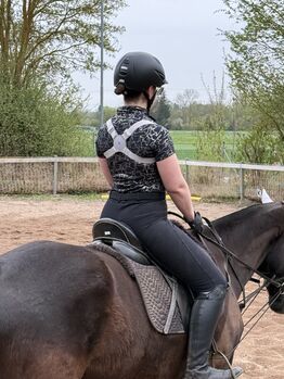VibraCoach- schneller besser Reiten lernen, PLK HappyCrownProducts GmbH VibraCoach, Kronwitter Petra , Other, Mainbernheim