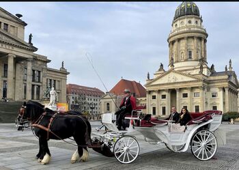 Vis a Vis Kutsche / Sonderanfertigung, Nancy Riesch, Kutschen, Werneuchen