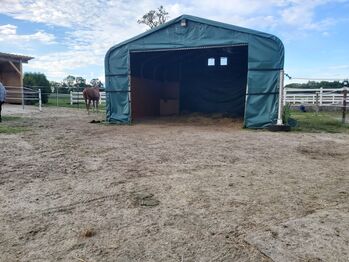 Weidezelt Lagerzelt 6x6x4m 720g Plane, Dagmar, Horse Shelters & Tents, Wels