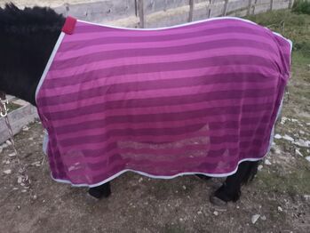 Fliegendecke, 115cm, fuchsia/grau, Fliegendecke , Leni, Horse Blankets, Sheets & Coolers, Hartenstein