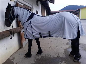 Fliegendecke mit Halsteil, 145 cm, BUSSE Fliegendecke Comfort, Eva Maria, Horse Blankets, Sheets & Coolers, Deutschfeistritz 