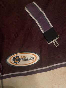 Fliegendecke mit Mash Einsatz oben Irish Innovation 