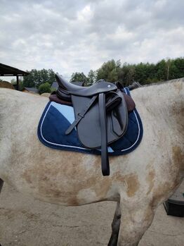 Butterfly Michael Putz, Butterfly Michael Putz, Anna, All Purpose Saddle, Kraków