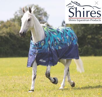 Outdoordecke Shires Highlander Peacock 125cm 0g NEU, Shires Highlander, Coimbra, Horse Blankets, Sheets & Coolers, Reitzenhain