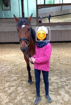 Vollblut Mix Pony, Vollblut Mix, Pferd kaufen, Dortmund
