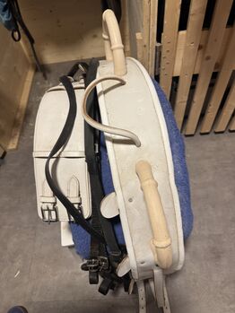 Voltigiergurt