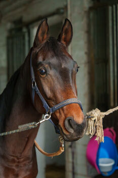 Für erfahrene Hände