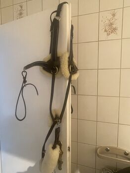Vorderzeug kaltblut, Vorderzeug mit Lammfell, Kessy, Hilfszügel, Wilhelmshaven