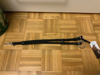 Martingalgabel, Stephanie , Training Aids, Graz 