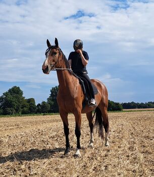 Freizeitpartnerin mit Potenzial, Mackiewicz, Horses For Sale, Grevenbroich 