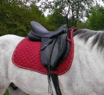 VS Sattel (Dt. Saddlery), dt. Saddlery GmbH (jetzt Butterfly)  Julia, Typ 1300, Eva, All Purpose Saddle, Pettenbach