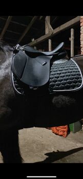 VS Sattel Wintec, Charlize, All Purpose Saddle, Stadtoldendorf 