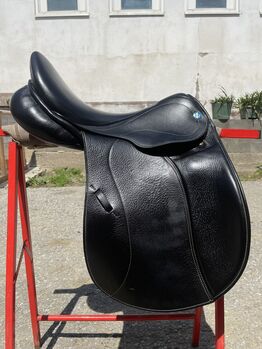 VSD Philippe Fontaine von Stübben, Selly, All Purpose Saddle, Eichberg-Trautenburg