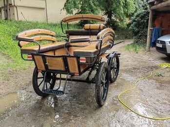 Wagonette 1 und 2 spännig Zygmunt 