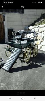 Wagonette/ Marathonwagen, Anneliese , Carriages, Freiland bei Deutschlandsberg