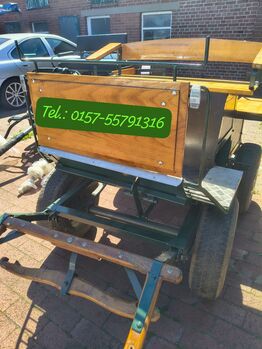 Wagonette - Kutsche für Shetlander (groß ab ca. 1 m), Welsh A oder ähnliches, unbekannt, Familie, Carriages, Rahden