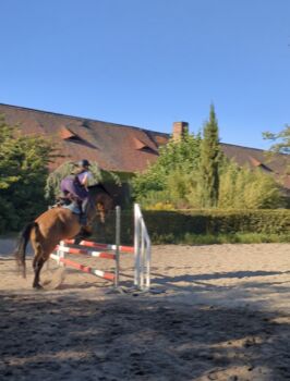 Wallach 8 Jahre