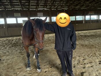 Liebevoller Charakter Walach mit Herz sucht neues Zuhause