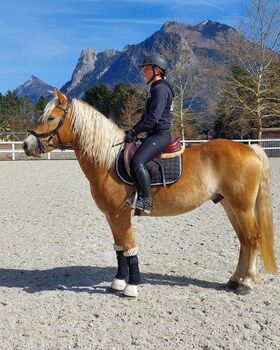 HAFLINGER WALLACH