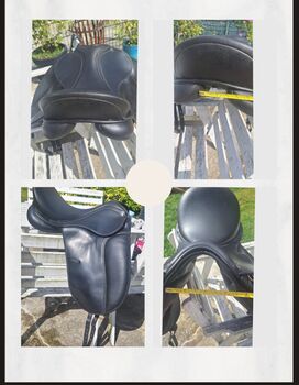 Waldhausen Dressursattel Economic, 17,5 Zoll/44 cm, Waldhausen  Economic , Petra, Dressage Saddle, Fröndenberg 