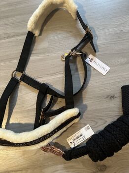 Waldhausen Halfter Warmblut, Waldhausen , Franziska, Halters, Dortmund 