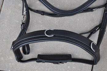 Waldhausen Lederkappzaum anatomic Gr. XWB Waldhausen