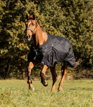 Waldhausen SCANDIC Outdoordecke. 200 g Waldhausen 