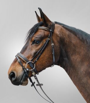 Waldhausen STAR Trensenzaum Diamond von MINISHETTY bis WARMBLUT Waldhausen