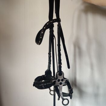 Waldhausen X-Line Hackamore Schwarz, Waldhausen  X-Line Hackamore , Nina Burkhardt , Bitless Bridles, Odenthal