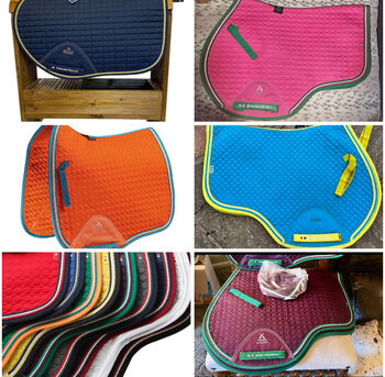 *WANTED* coloured premier Equine saddle pads GP/JUMP, Premier equine , Katie, Other Pads, Queenborough, Swale