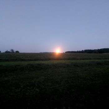 Warm belüftetes Heu Feziheu Pferdeheu