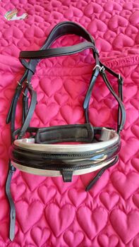 Warmblut Trense, Schwedisch, Jessi, Bridles & Headstalls, Bad schussenried 